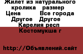 Жилет из натурального кролика,44размер › Цена ­ 500 - Все города Другое » Другое   . Карелия респ.,Костомукша г.